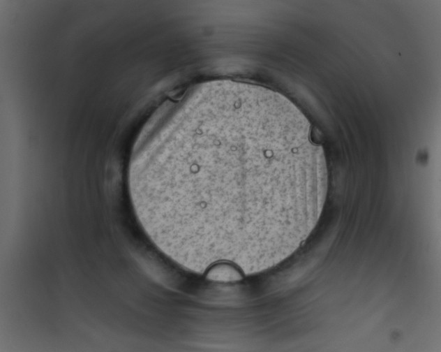 X0000101110260200807171943