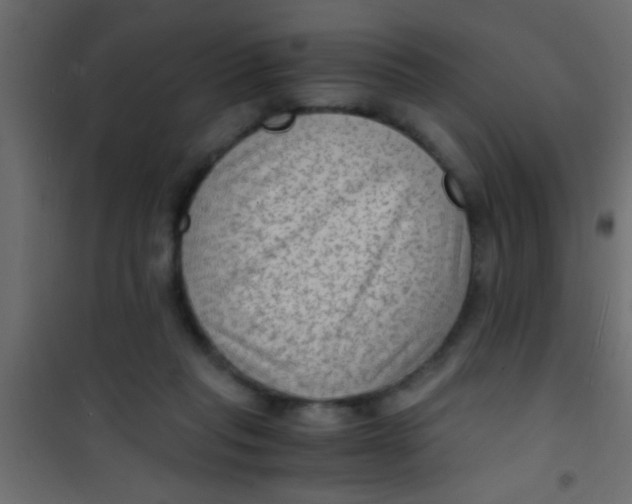 X0000101110261200807171943