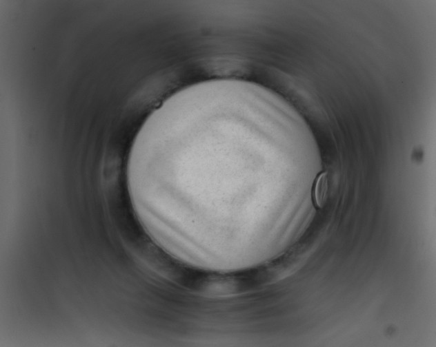 X0000101110263200807171943