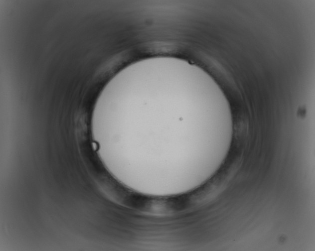 X0000101110264200807171943