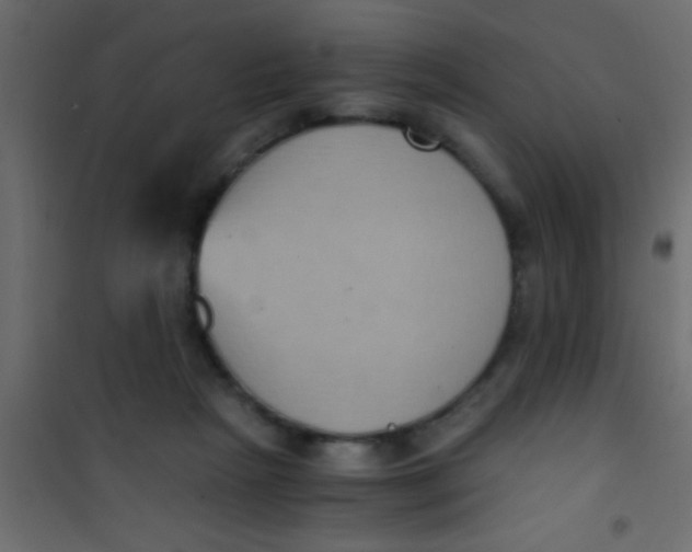 X0000101110265200807171943