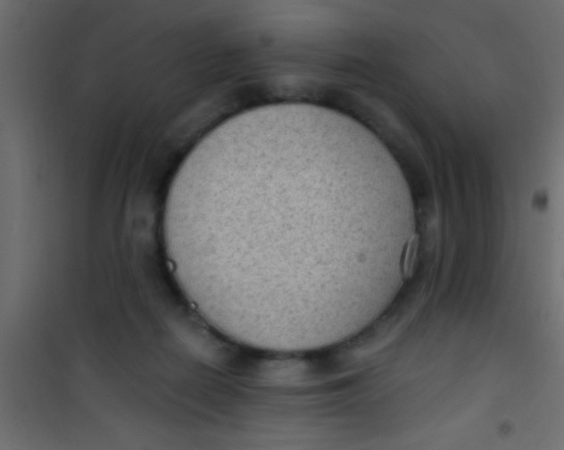 X0000101110266200807171943