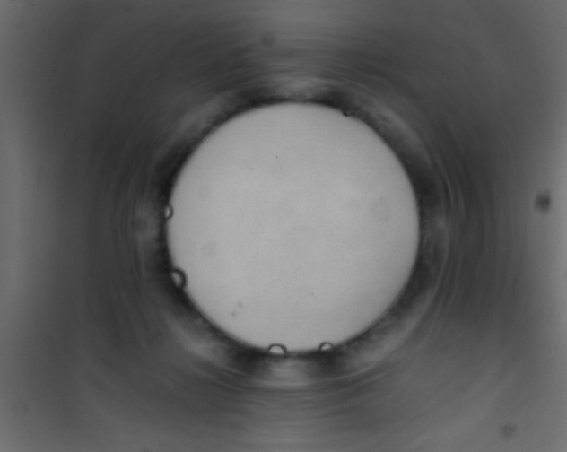 X0000101110268200807171943