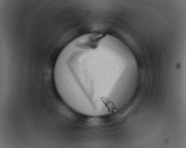 X0000101110269200807171943