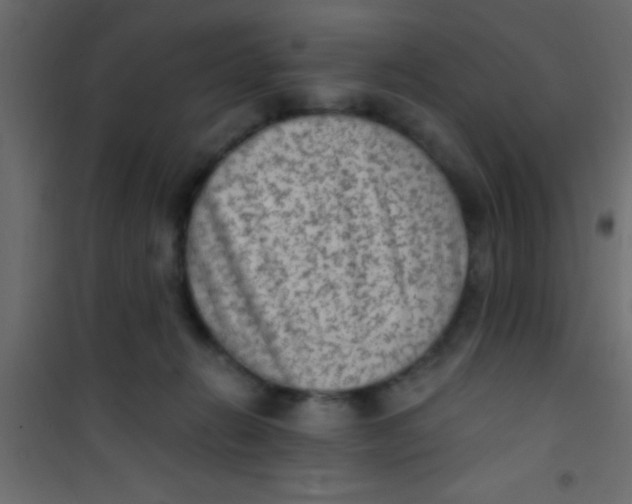 X0000101110270200807171943