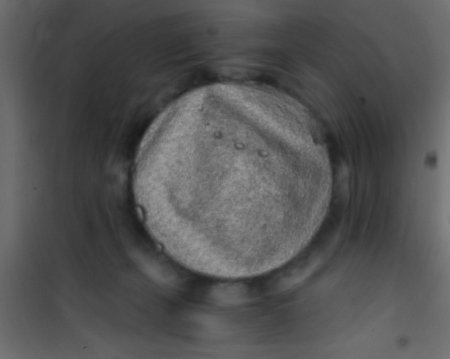 X0000101110271200807171943