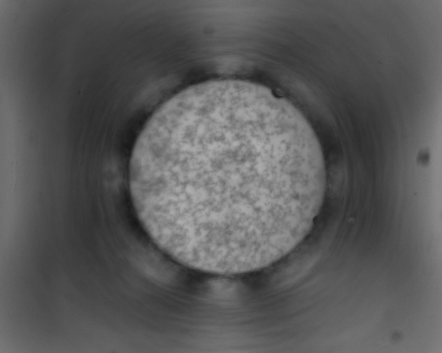 X0000101110272200807171943