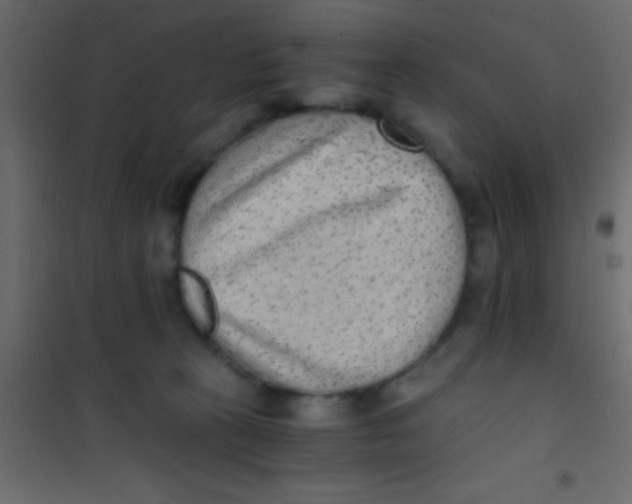 X0000101110273200807171943