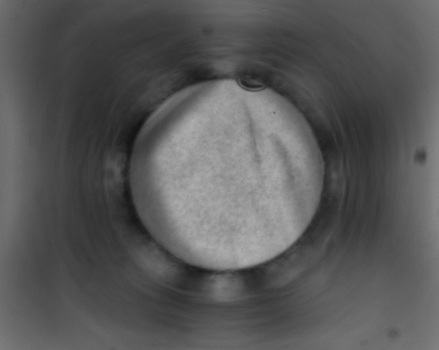 X0000101110275200807171943