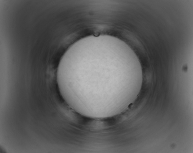 X0000101110276200807171943