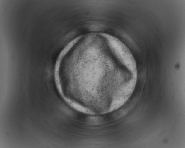 X0000101110277200807171943