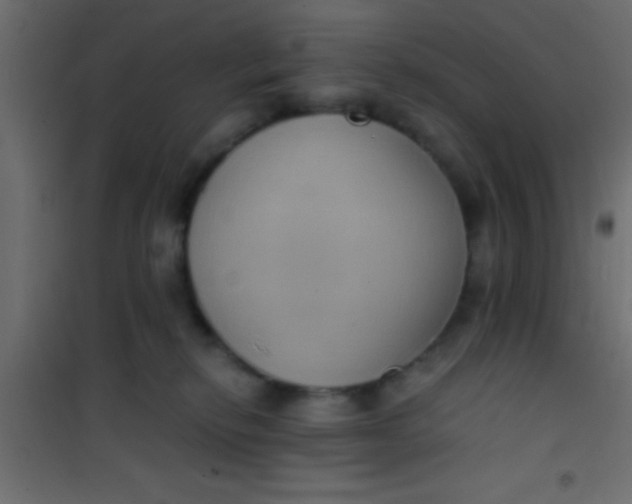 X0000101110278200807171943