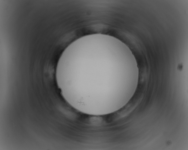 X0000101110279200807171943