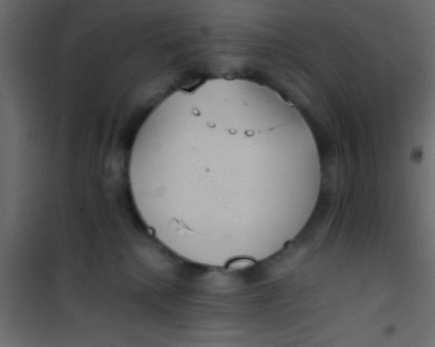 X0000101110280200807171943