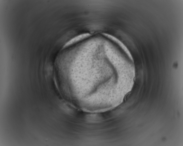 X0000101110281200807171943