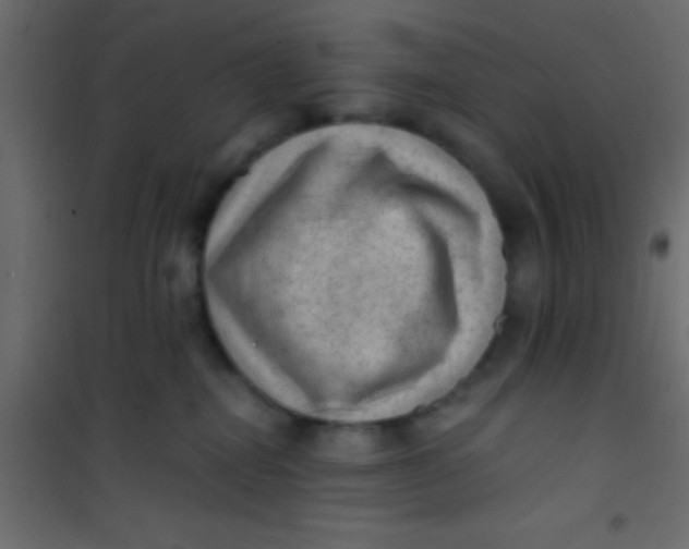 X0000101110282200807171943