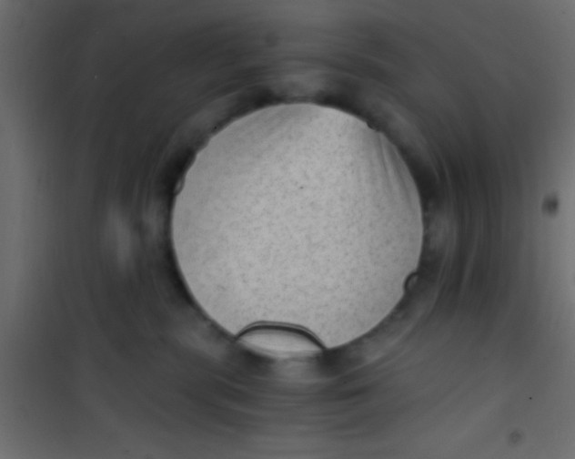 X0000101110283200807171943