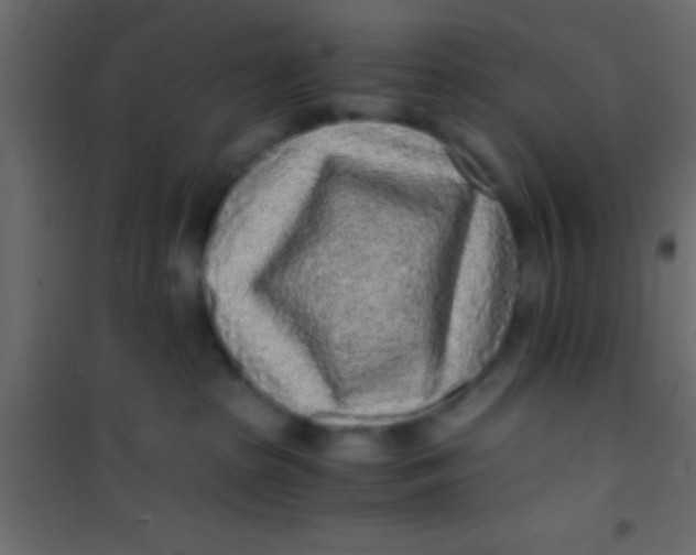 X0000101110285200807171943