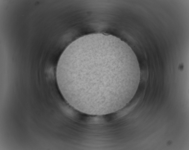 X0000101110286200807171943