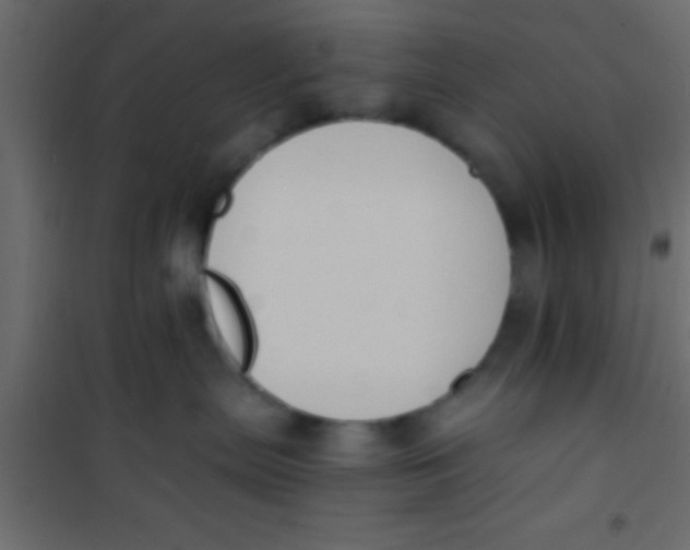 X0000101110287200807171943