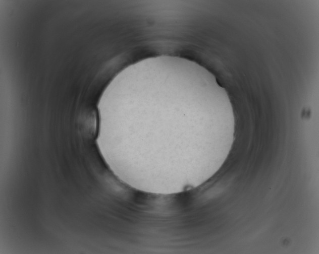 X0000101110288200807171943