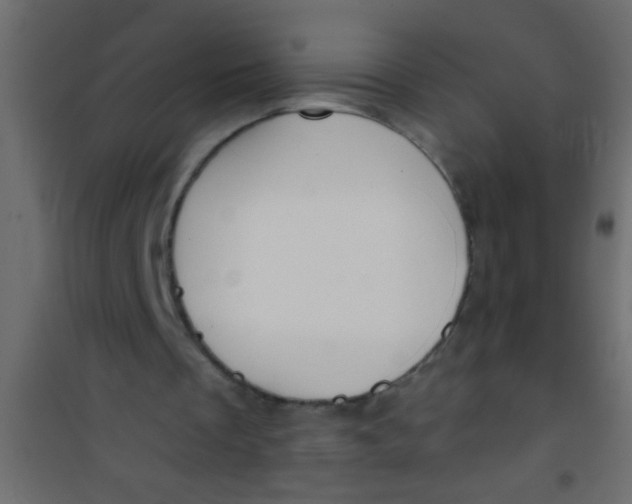 X0000101110289200807171943