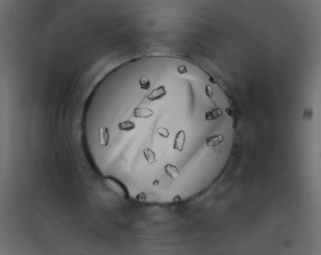 X0000101110290200807171943