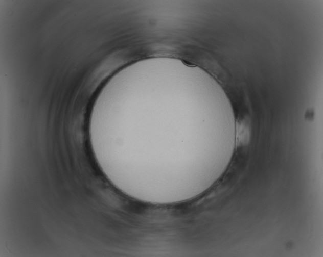 X0000101110291200807171943