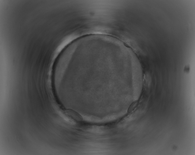 X0000101110292200807171943