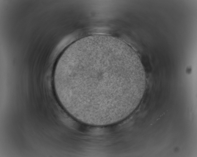 X0000101110293200807171943