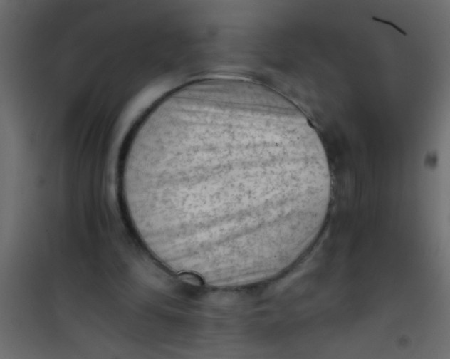 X0000101110294200807171943