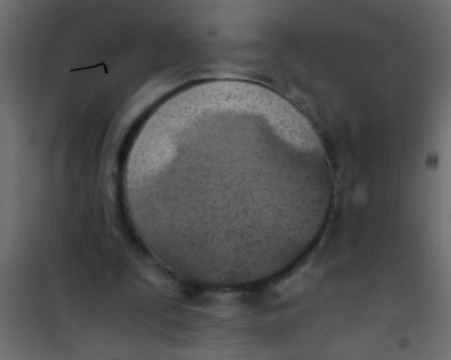 X0000101110295200807171943