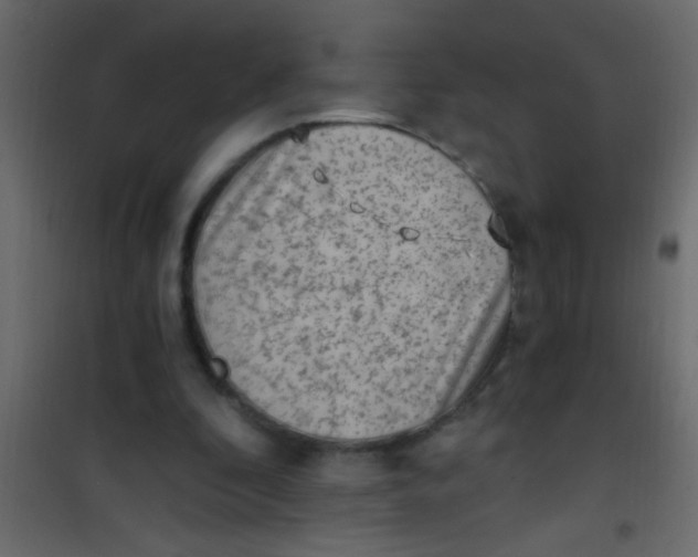 X0000101110296200807171943