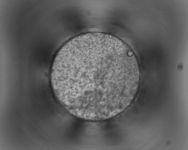 X0000101110297200807171943