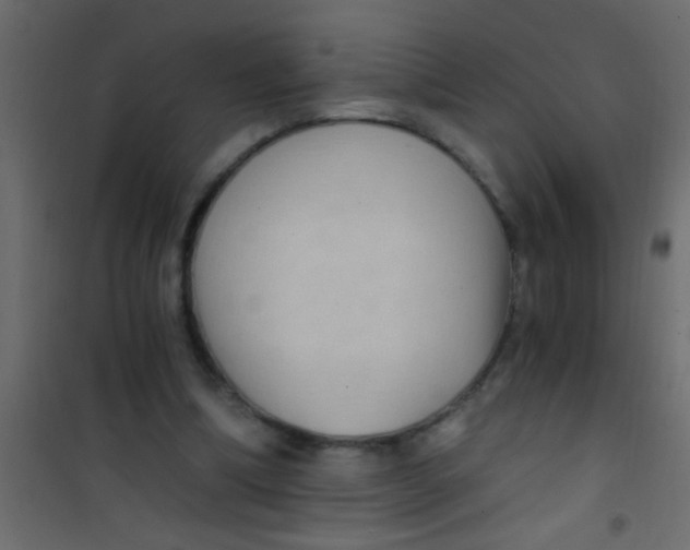 X0000101110298200807171943