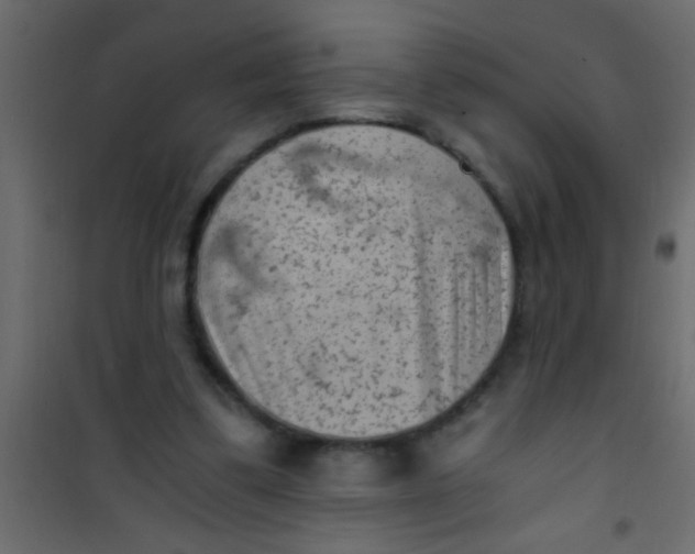 X0000101110299200807171943