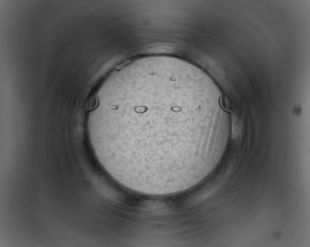 X0000101110300200807171943