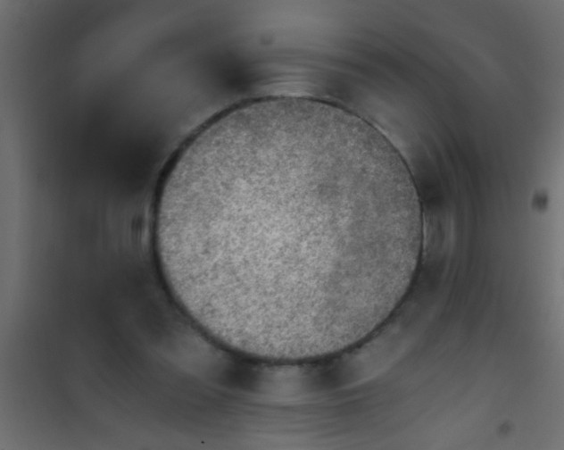 X0000101110301200807171942