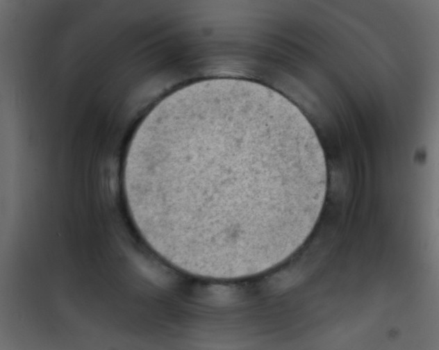 X0000101110302200807171942