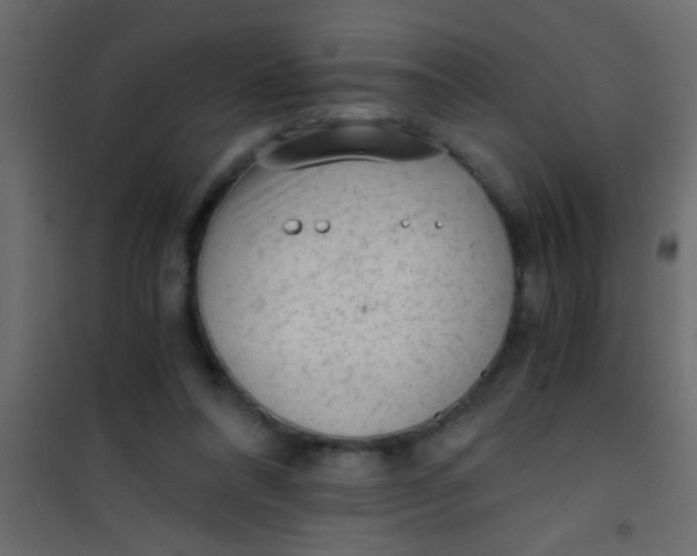 X0000101110304200807171942