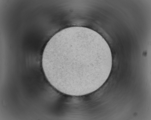 X0000101110305200807171942