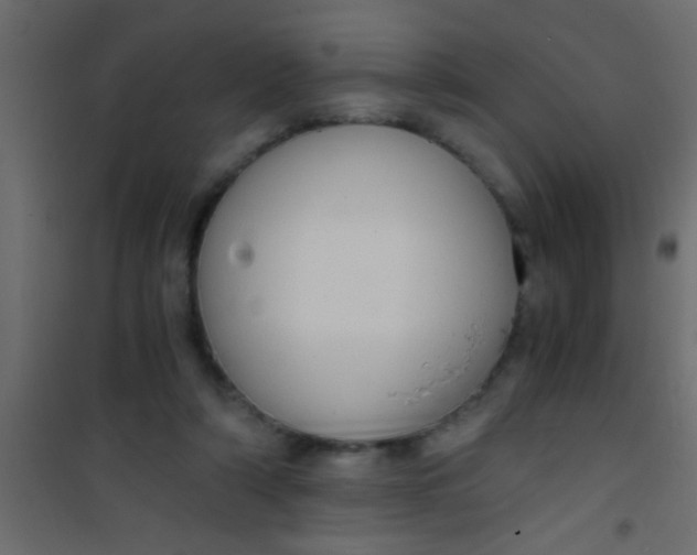 X0000101110306200807171942