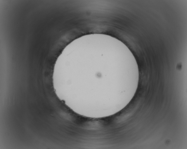 X0000101110307200807171942