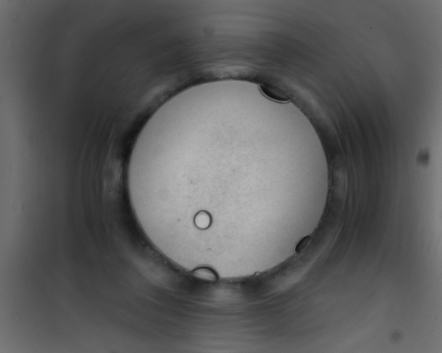 X0000101110308200807171942