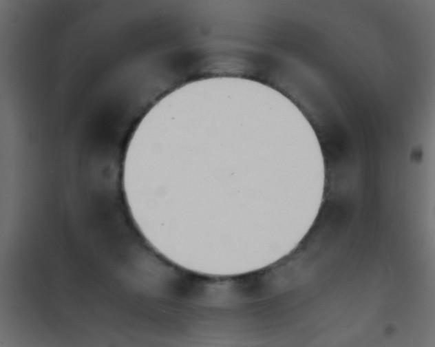 X0000101110309200807171942