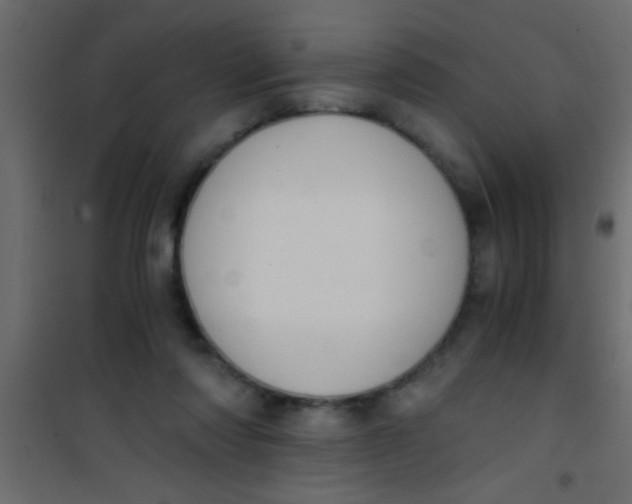 X0000101110310200807171942