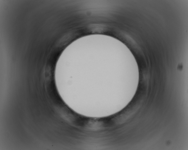 X0000101110311200807171942