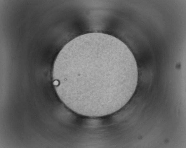 X0000101110313200807171942