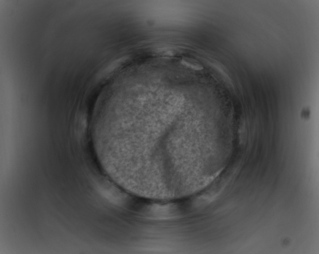 X0000101110314200807171942