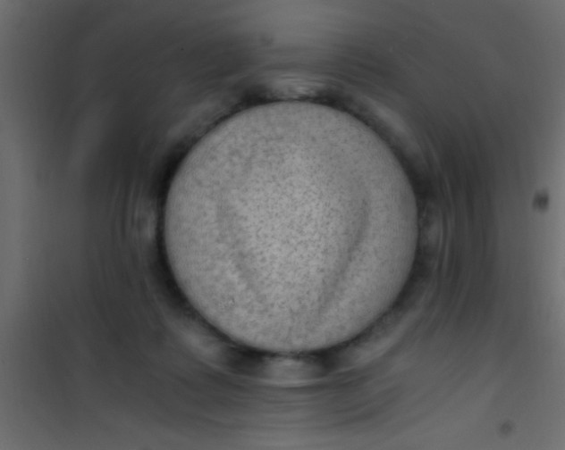 X0000101110315200807171942